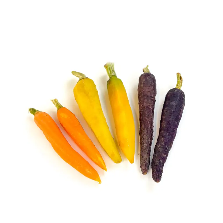 A picture of IQF Tricolor Baby Carrots