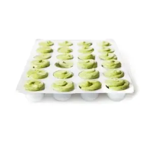 A picture of Escargo' Presto Shell Less