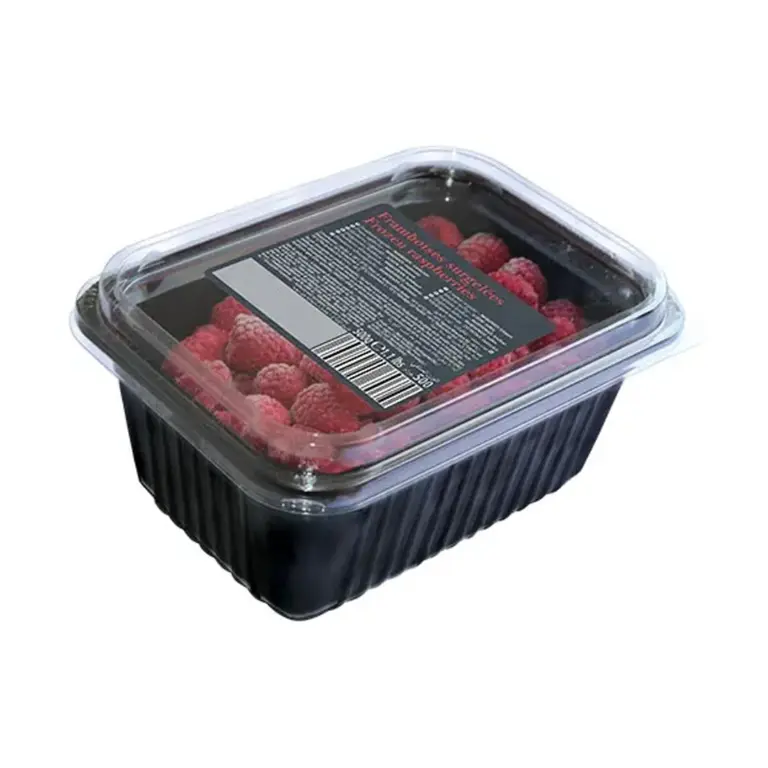 A picture of Andros IQF Raspberries