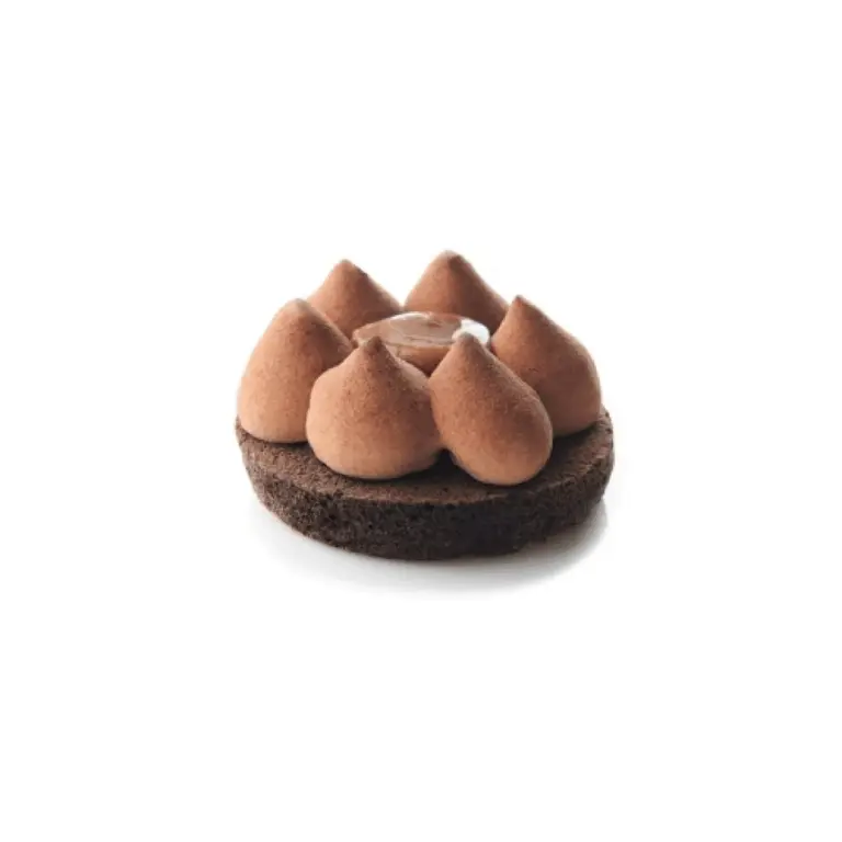 A picture of Chocolate Caramel Tartlet