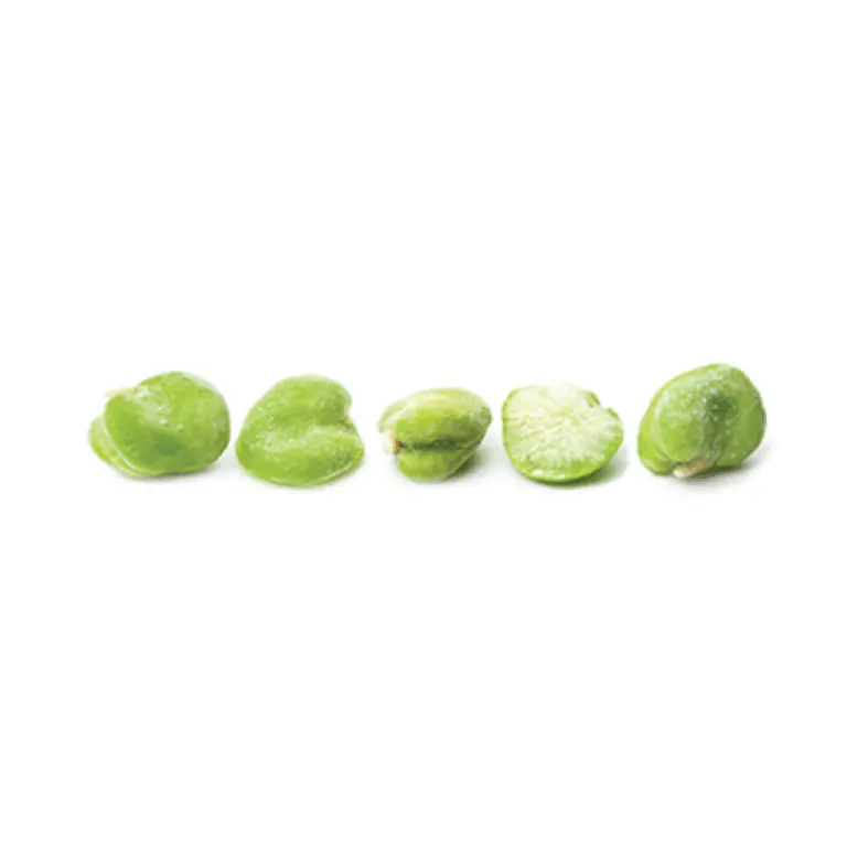 A picture of Peeled fava beans BULK 1/22lb