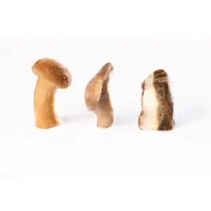 A picture of Mushroom Mix 10% Porcini