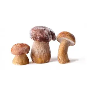 A picture of Whole Porcini Grade A