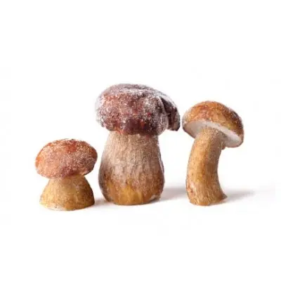 A picture of Whole Porcini Grade A