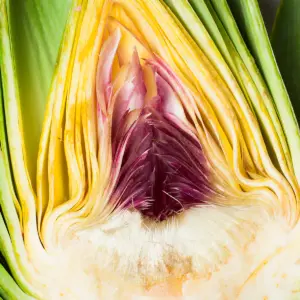 A picture of vegetables