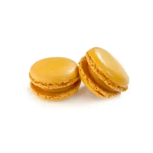 A picture of Signature Mango Macaron