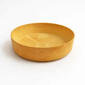 A picture of Plain Quiche Shell Large 4.1