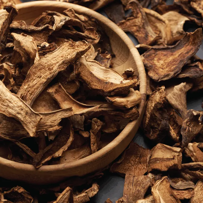 A picture of Champiland