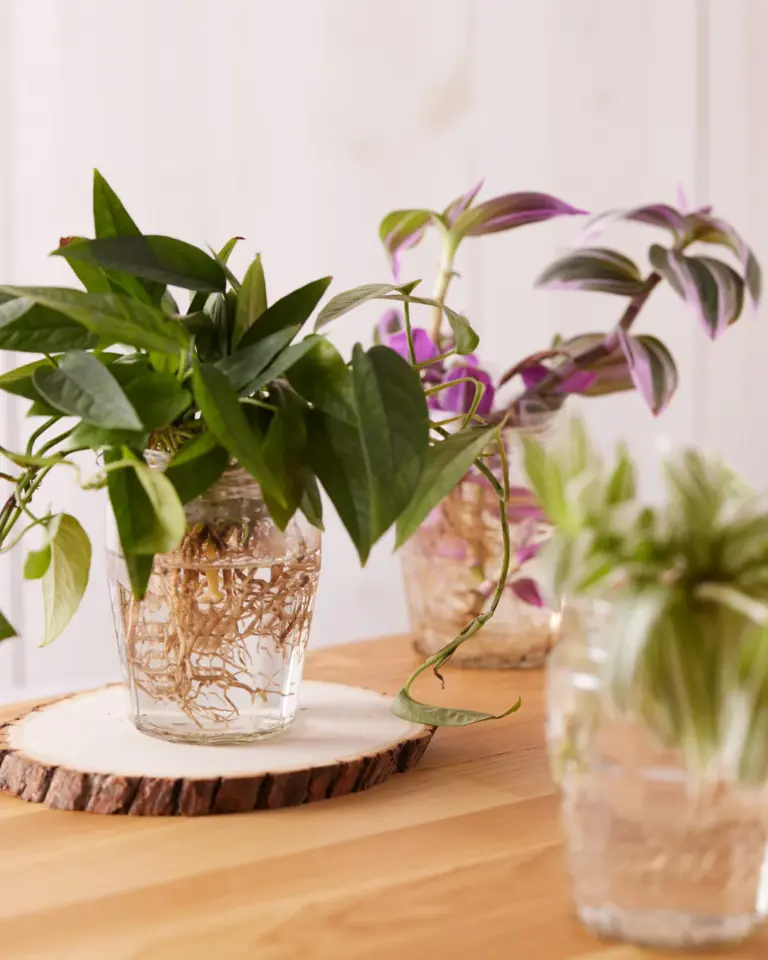 A picture of DIY Jar Hacks with Bonne Maman