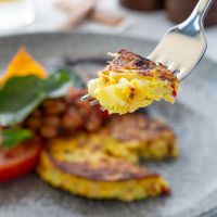 Egg-Free Omelet