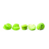 Peeled fava beans BULK 1/22lb